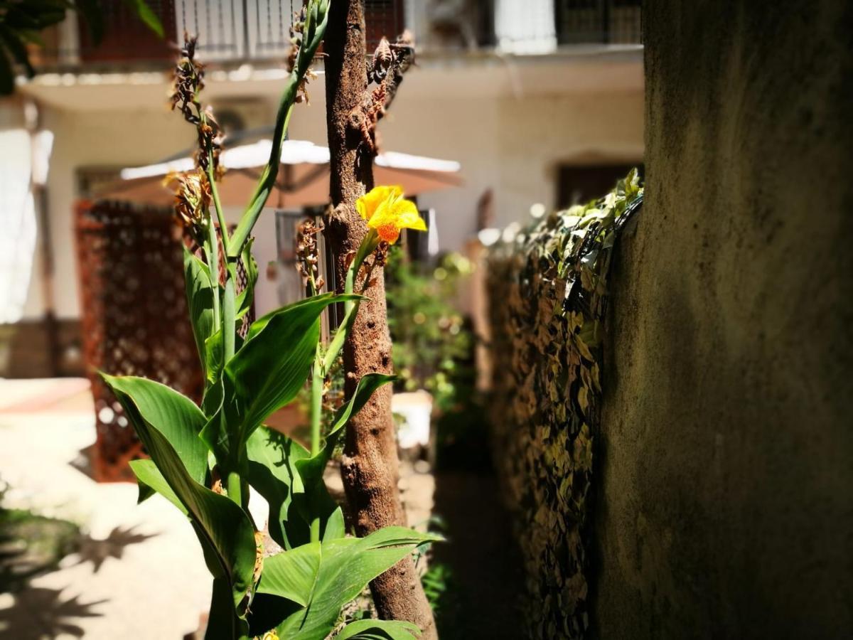 Double Room Garden View