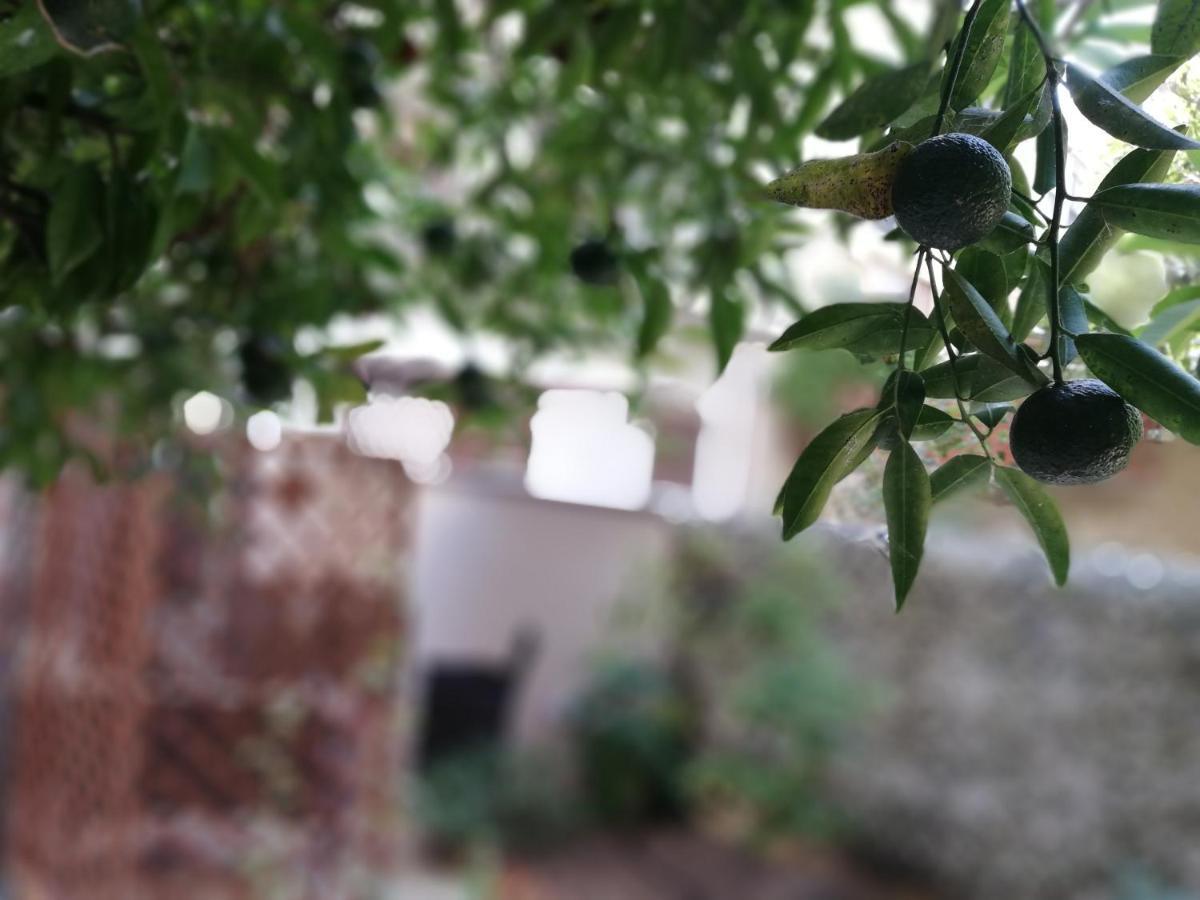 Double Room Garden View