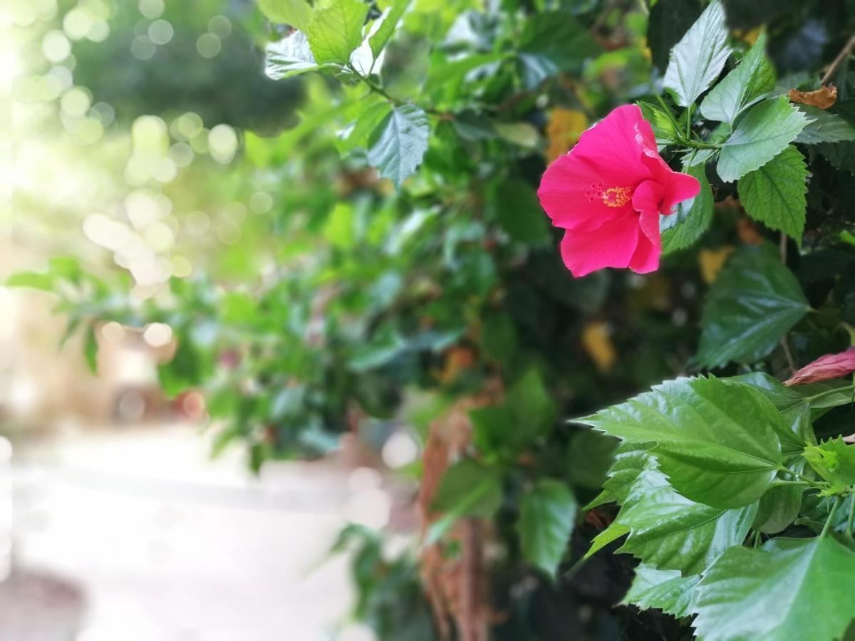 Double Room Garden View