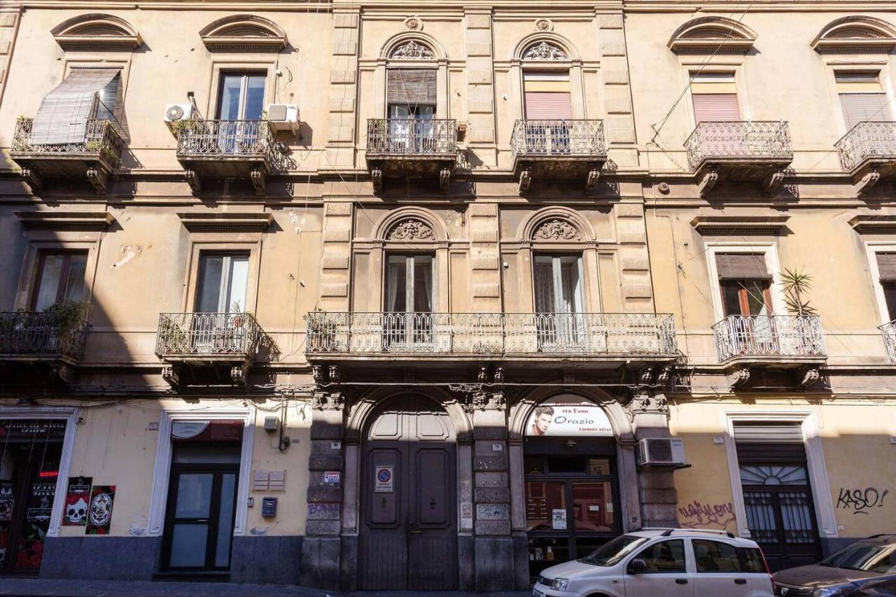 Suite Apartment