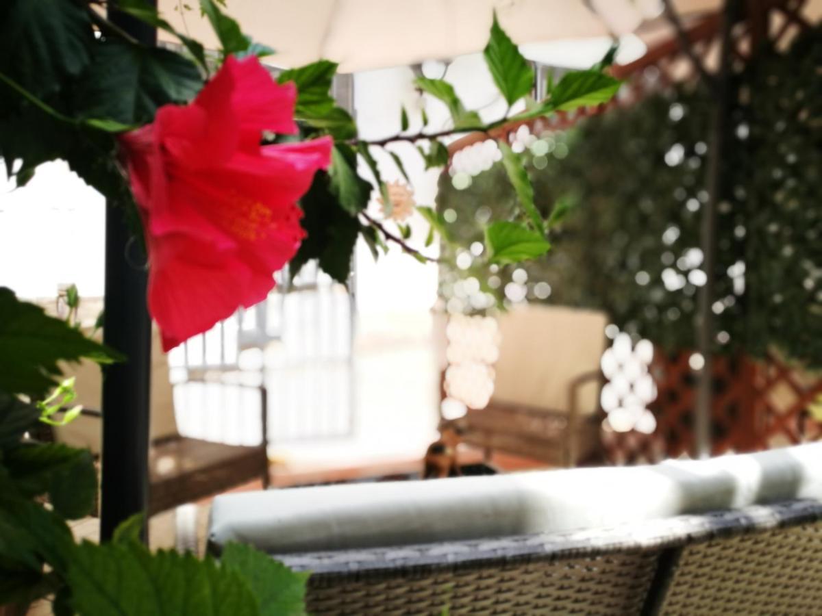 Double Room Garden View