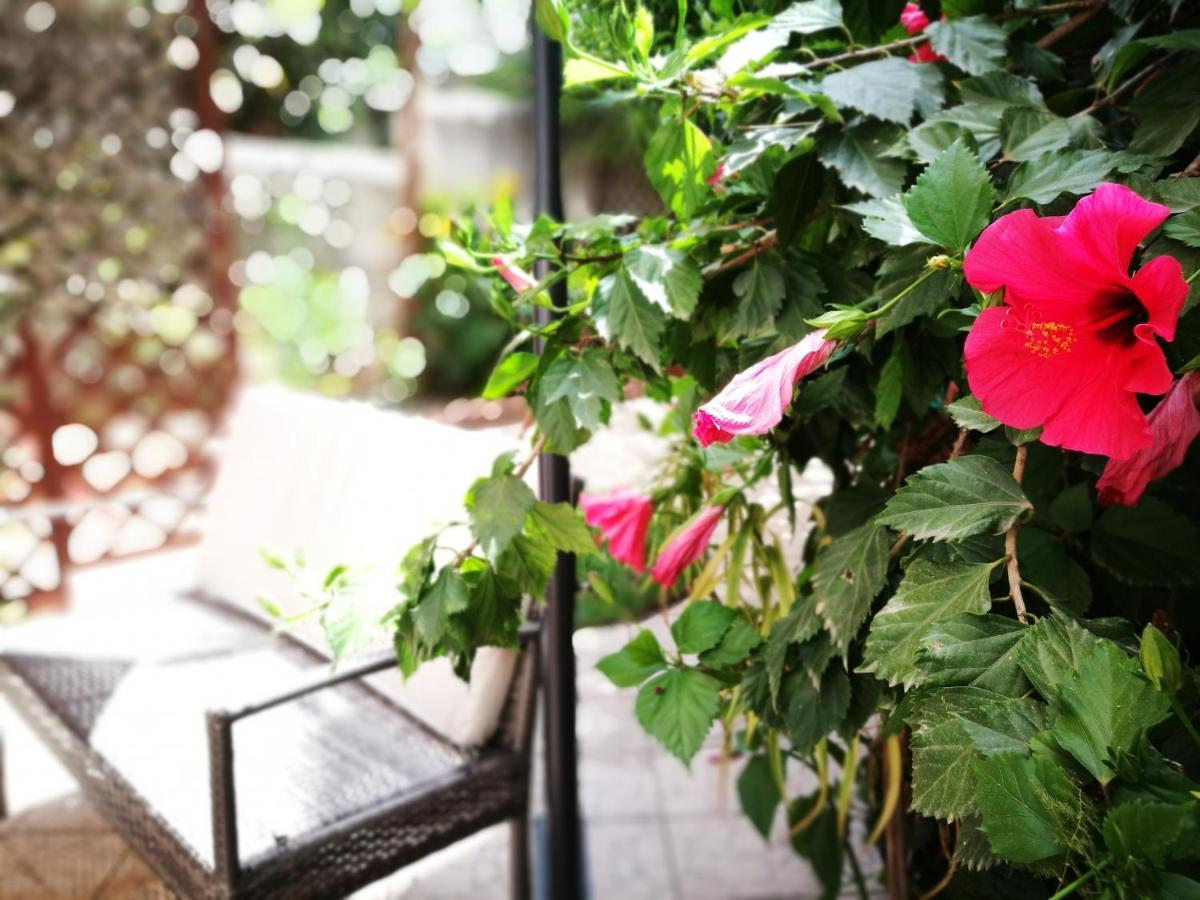 Double Room Garden View