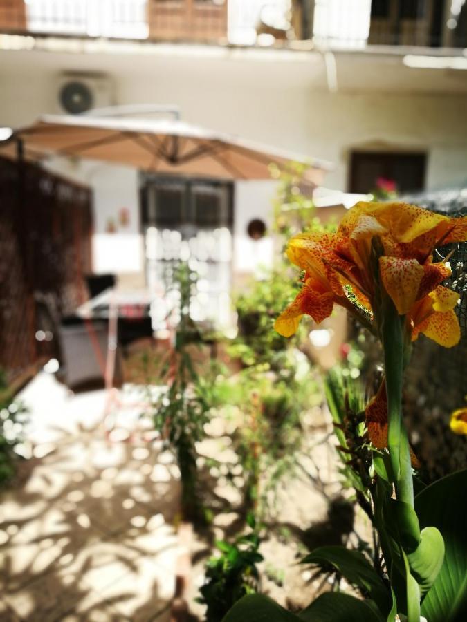 Double Room Garden View
