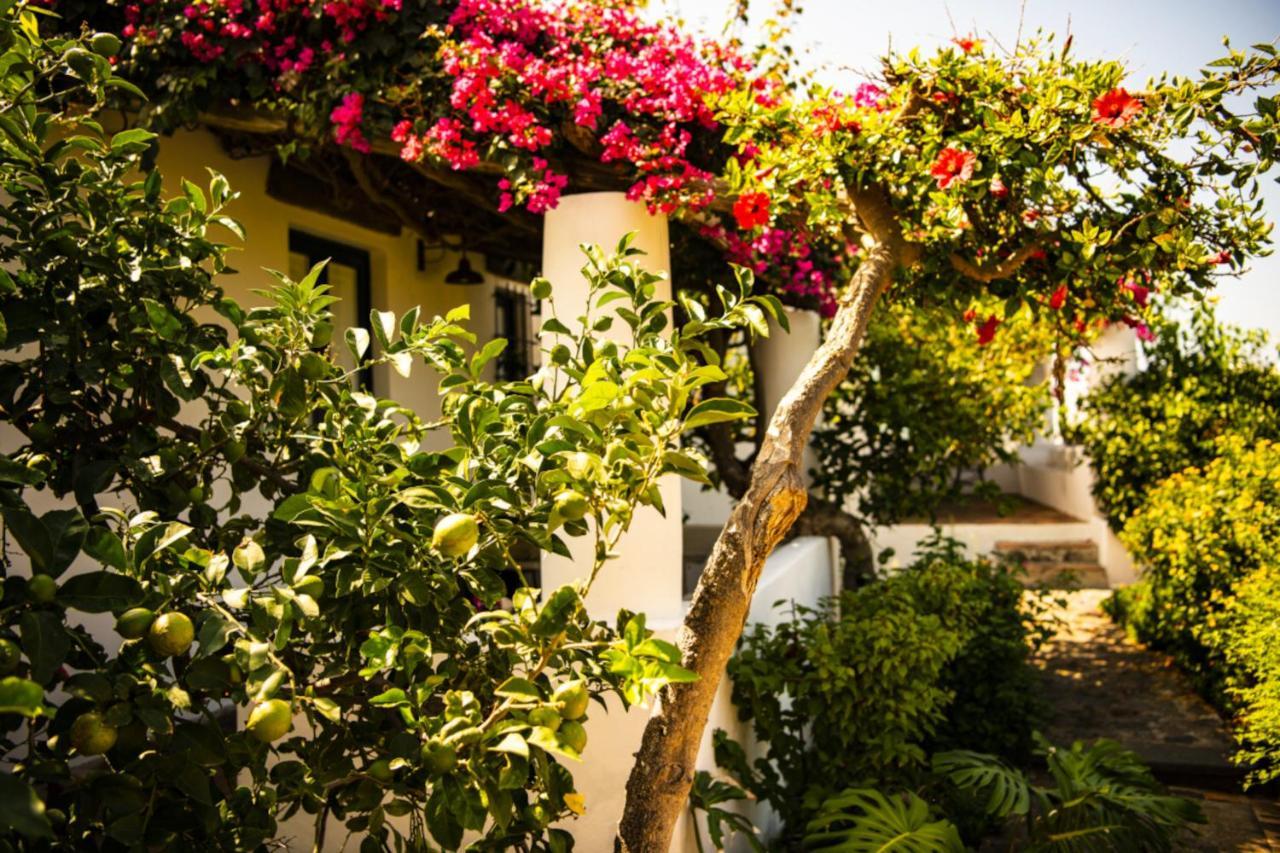 Superior Double Room Garden View