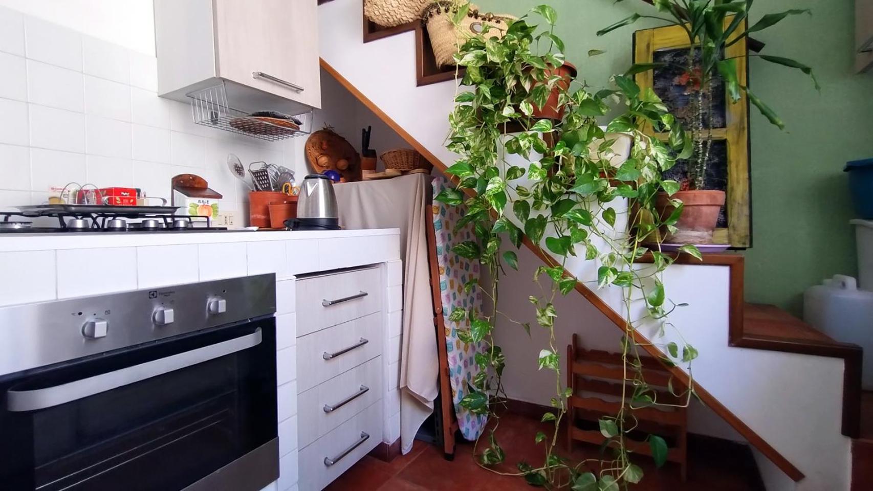 Apartment Balcony