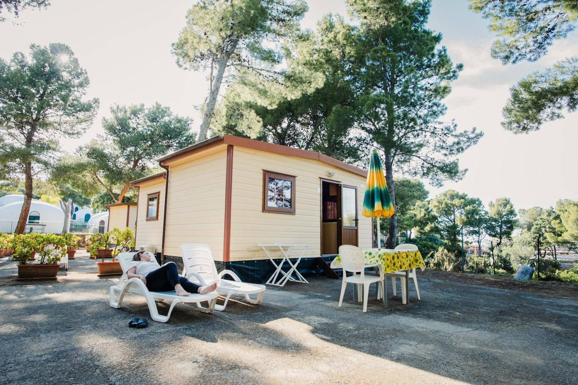 Mobile Home