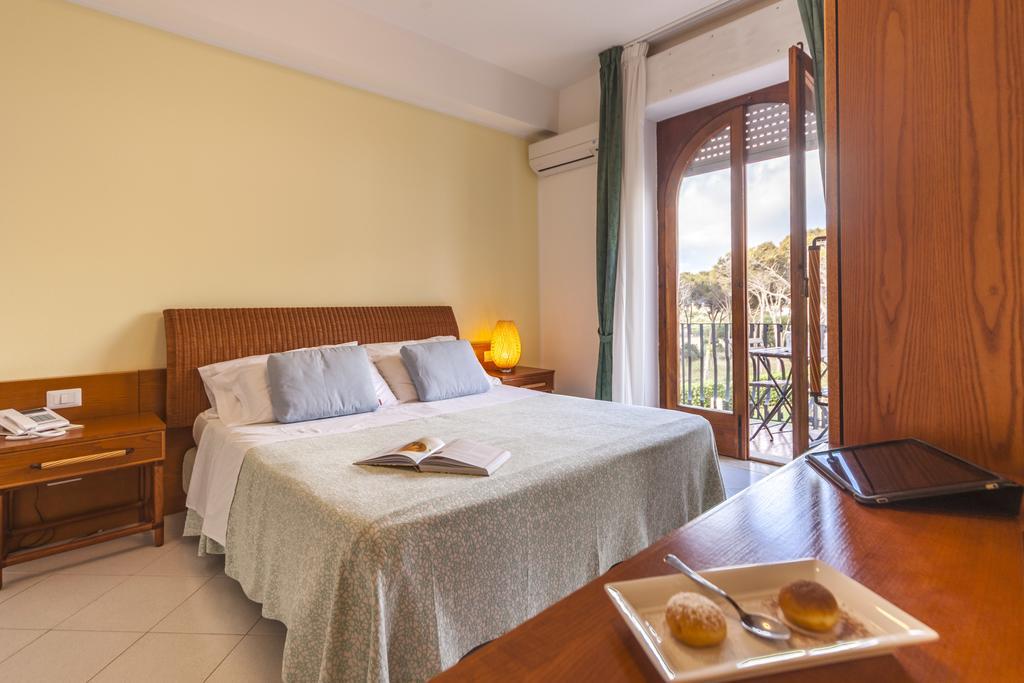Premium Double or Twin Room Vulcan View