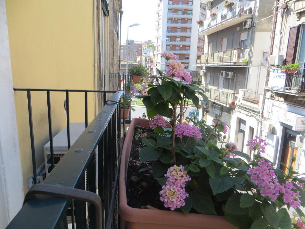 Double Room,43429492:JPEG