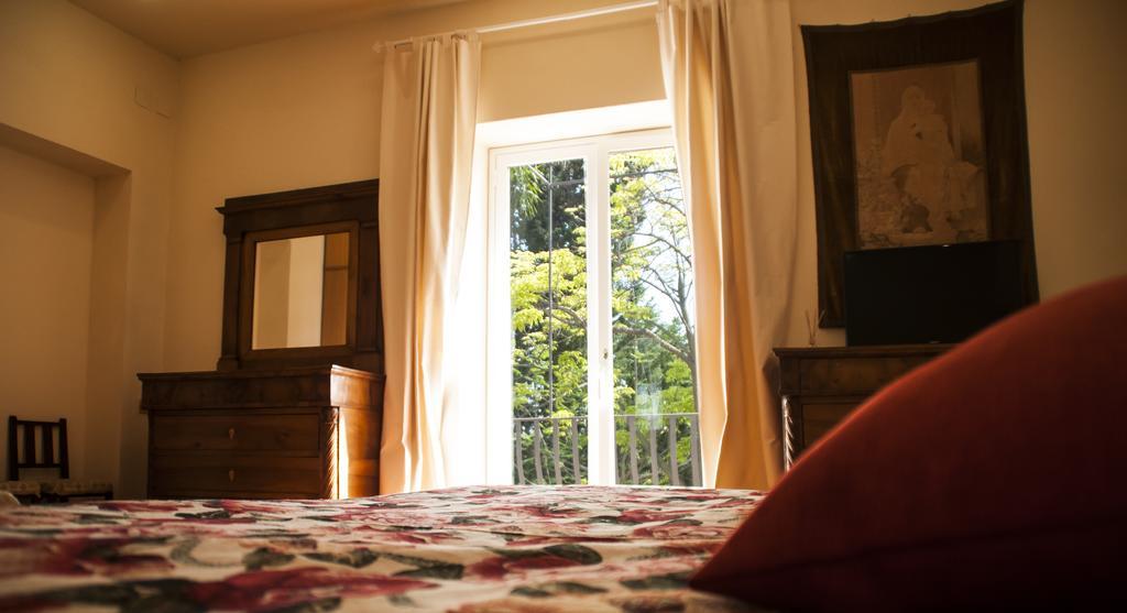 Superior Double Room Garden View