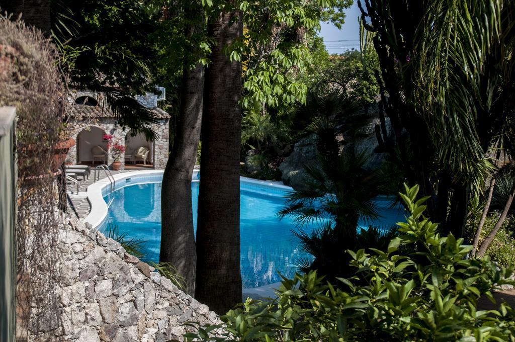 Superior Double Room Garden View
