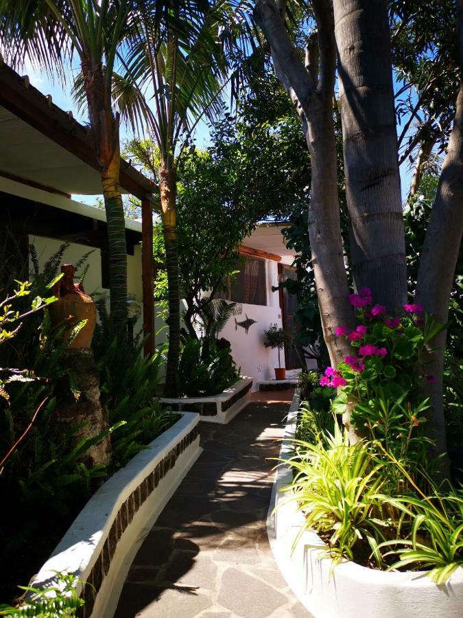 Triple Room Garden View