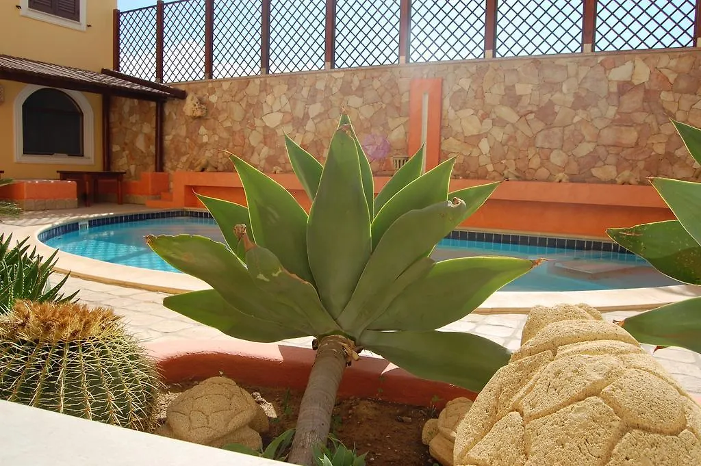 El Mosaico Del Sol-1