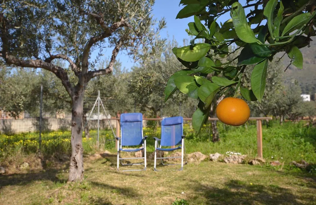 Cascina degli Ulivi-1