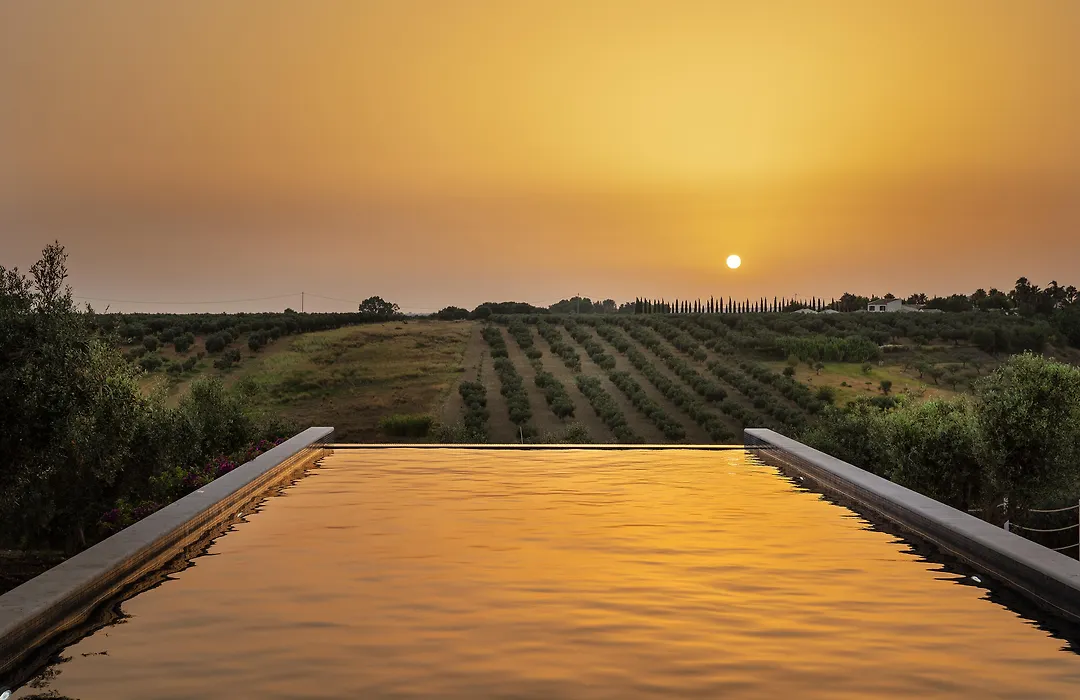 Momentum Wellness Bio Resort-1