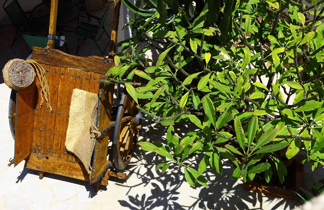 B&B Sabir-1