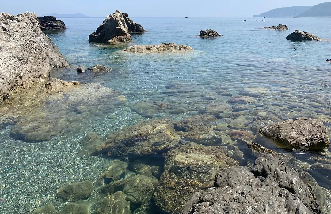 Il Fiore Bianco-1