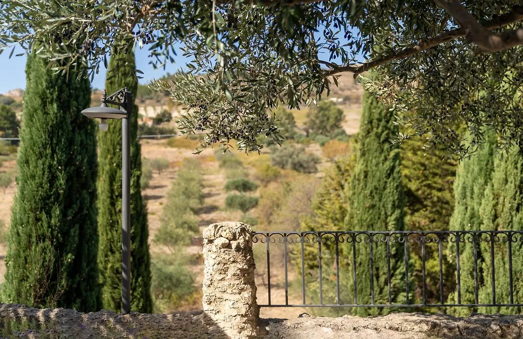 Roba Degli Ulivi-1