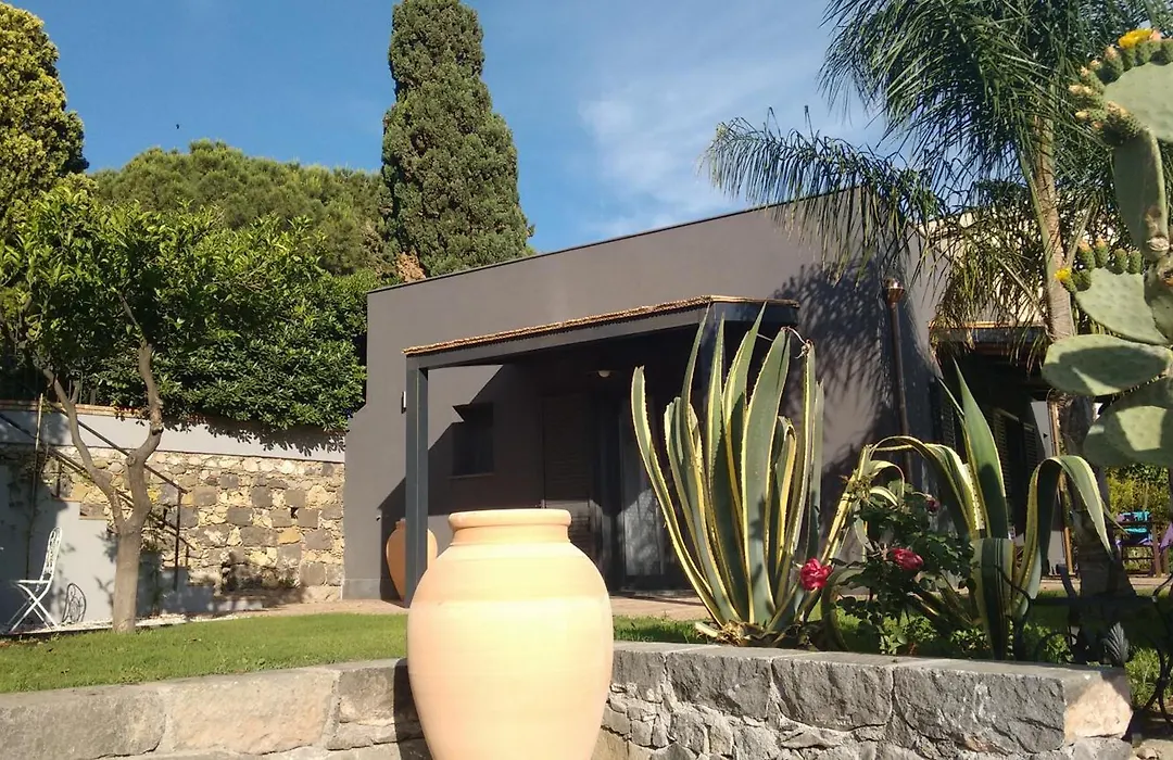 Avocado B&B Beyond-1
