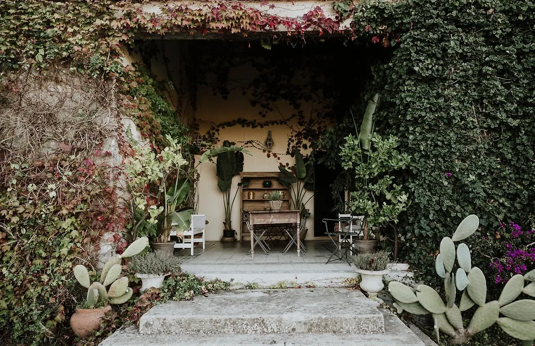 Bibbia- Tenuta di Campagna-1