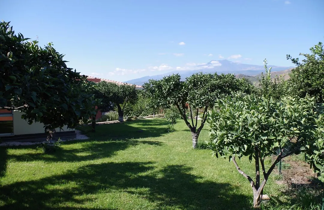 B&B Villa Valentina-1