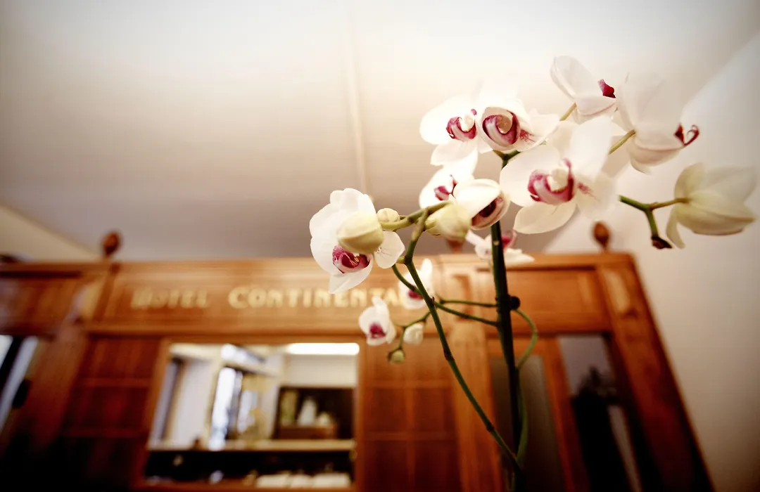 Hotel Continental-1