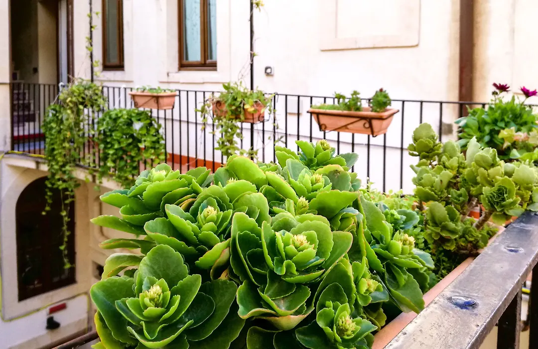 Hotel Casa Mia-1