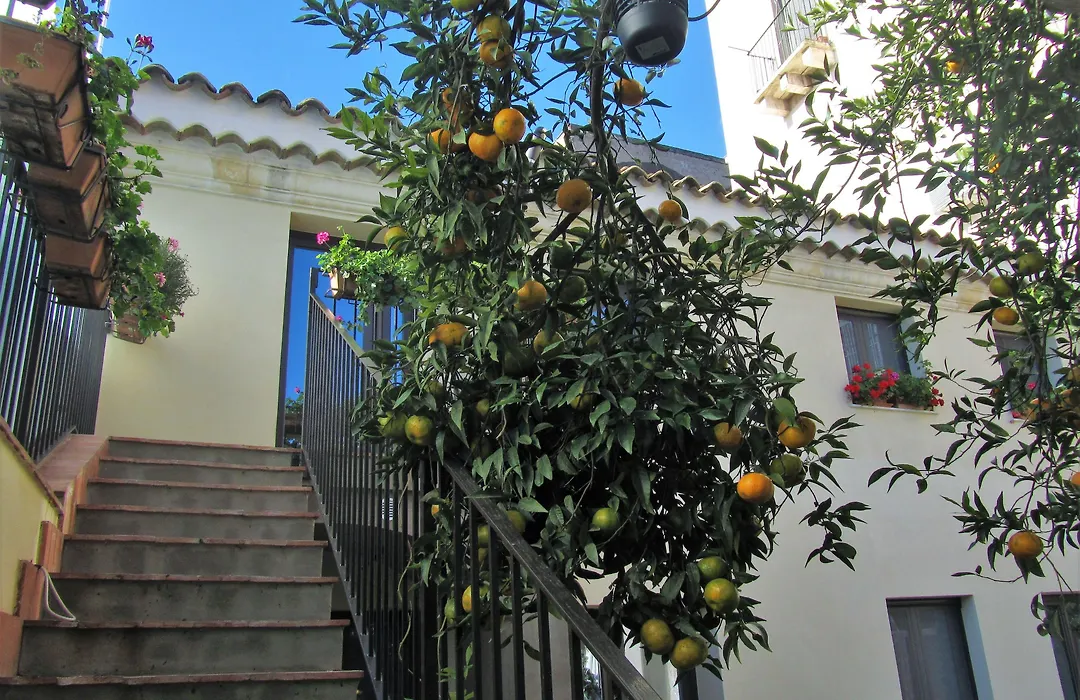B&B - ComeinSicily CortedeiLimoni - Charming&Rel-1