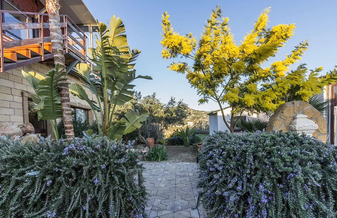 B&B Eyexei Domus-1
