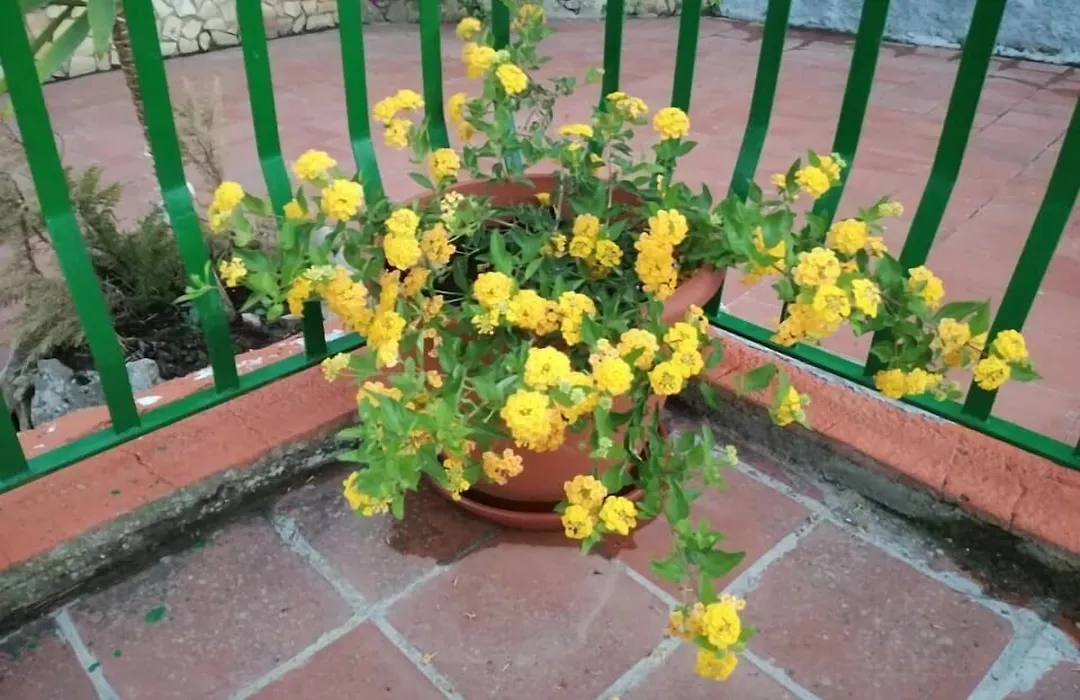 B&B Borgo Pileri-1