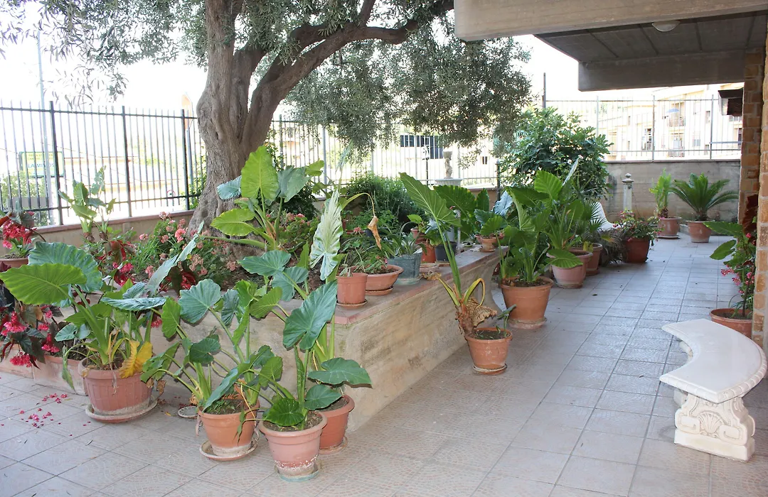 B&B Ulivo-1