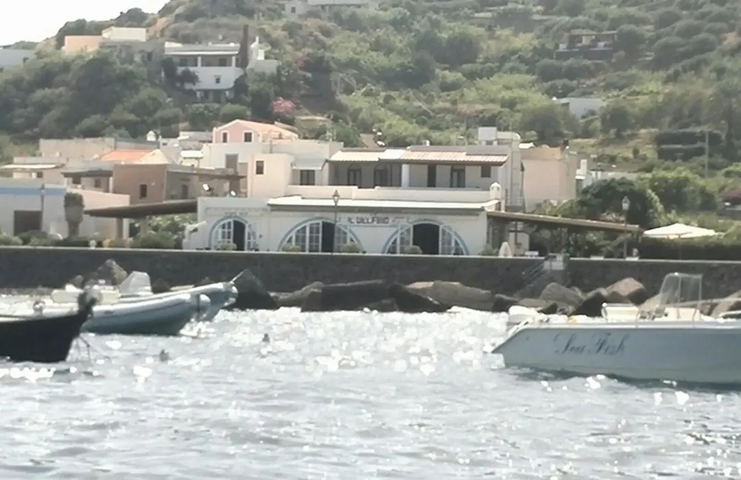 Il Delfino-1