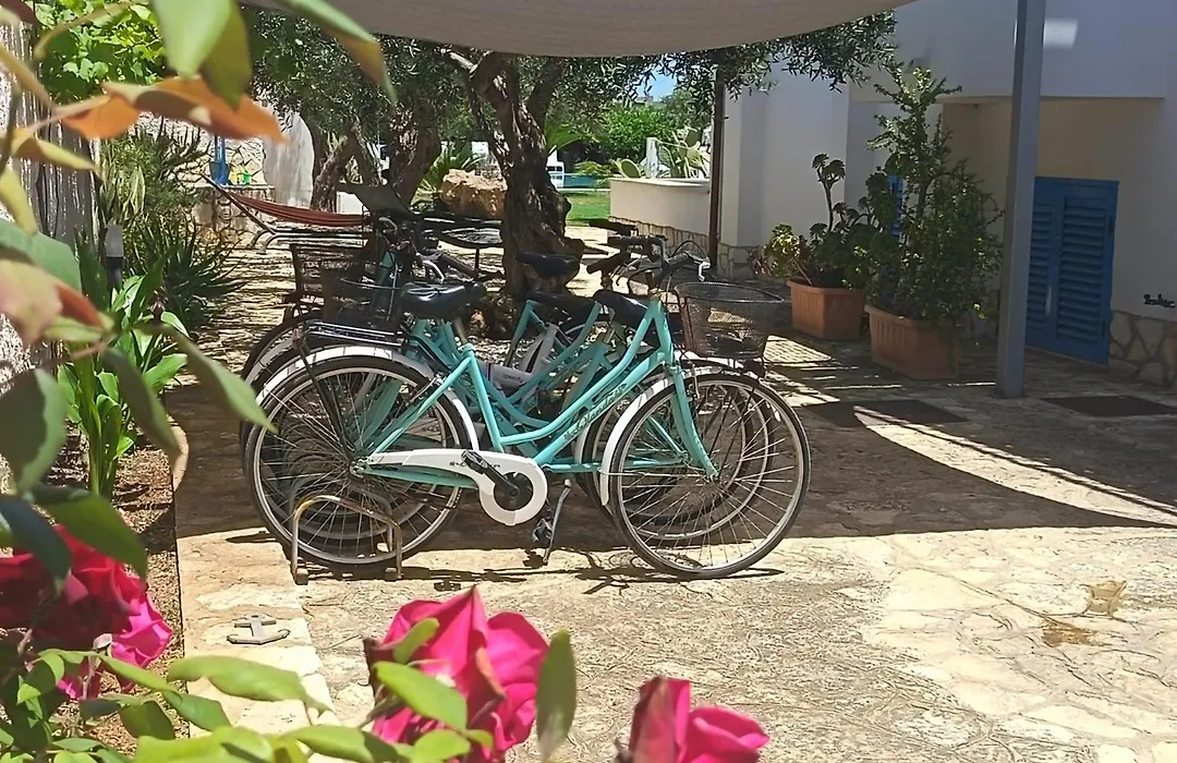 Signorino Resort-1
