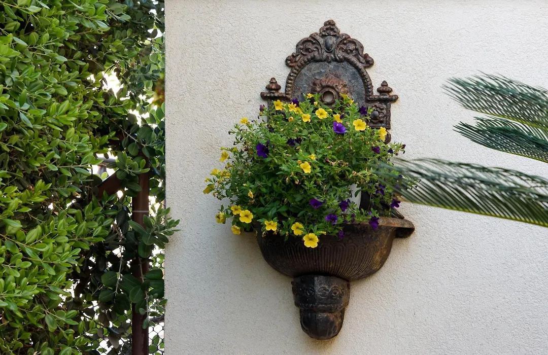 Athena Bed & Breakfast-1