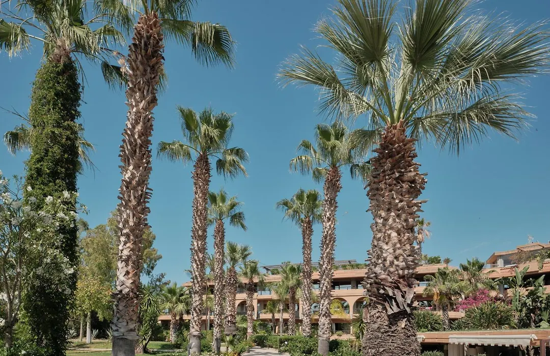 Acacia Resort-1