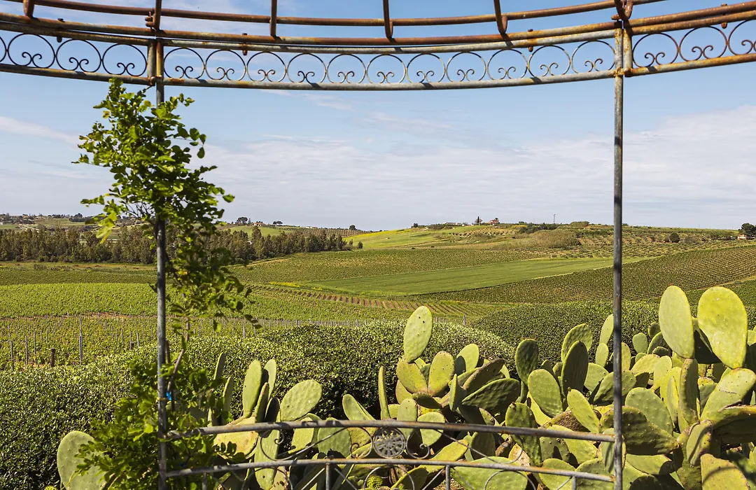 La Foresteria Planeta Wine Resort & Beach Club-1