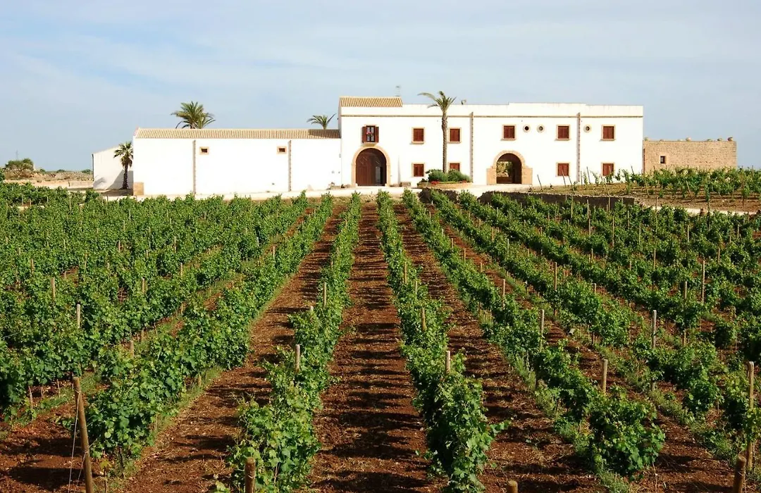Agriturismo Baglio Donnafranca Wine Resort-1