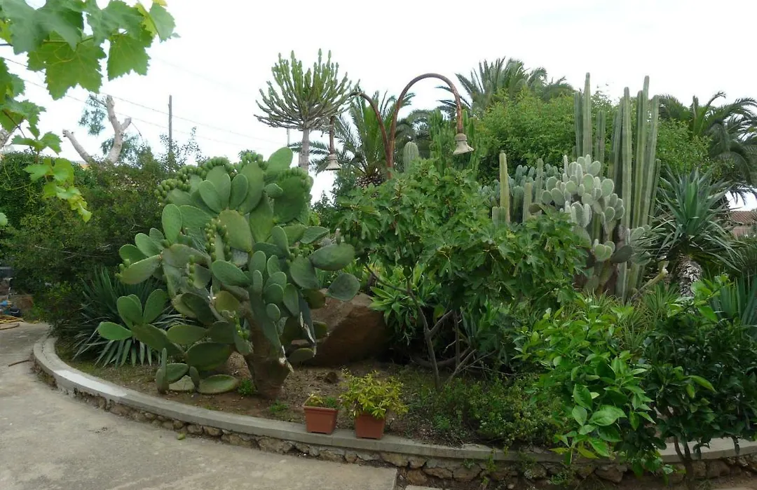 Villa Yucca-1
