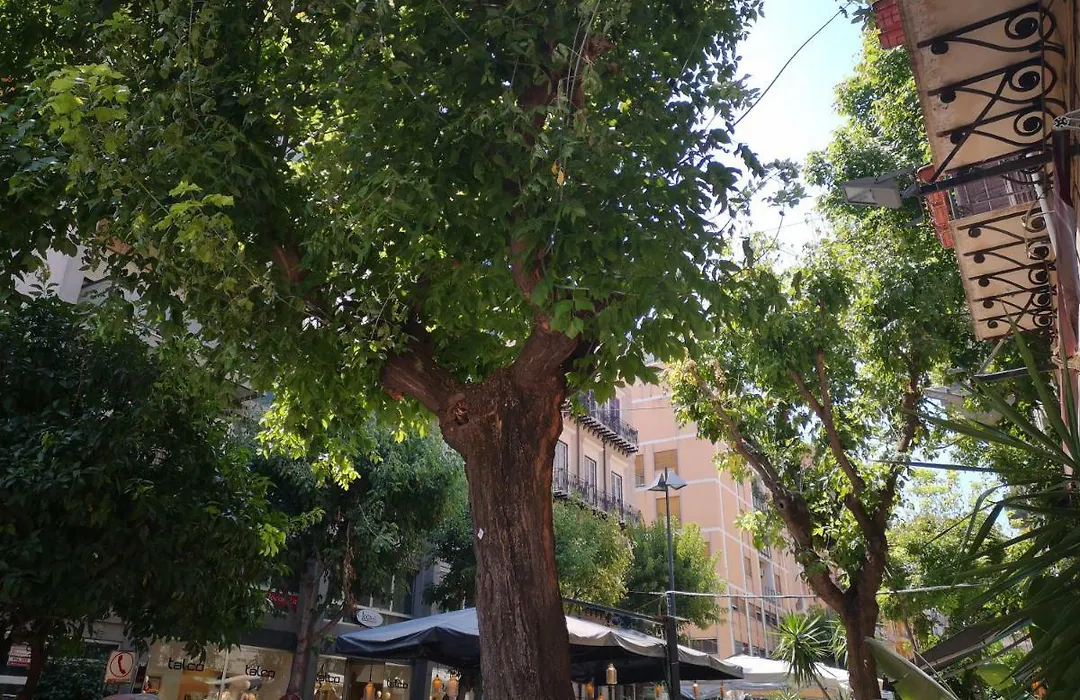 la casa dolce-1