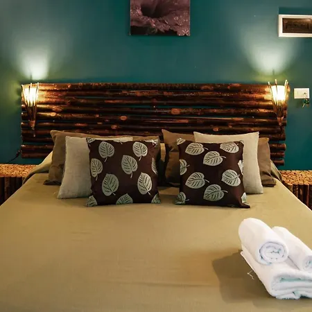 B&B Carella-3