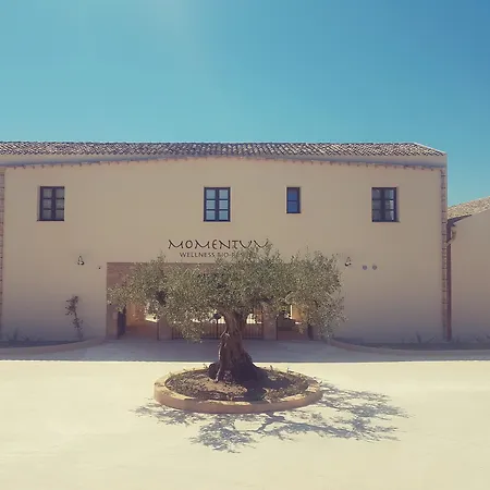 Momentum Wellness Bio Resort-2