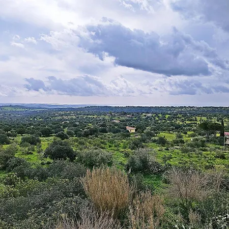 Vinciucci-2