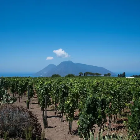 Castellaro Wine Resort-2