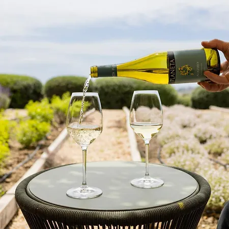 La Foresteria Planeta Wine Resort&Beach Club-2