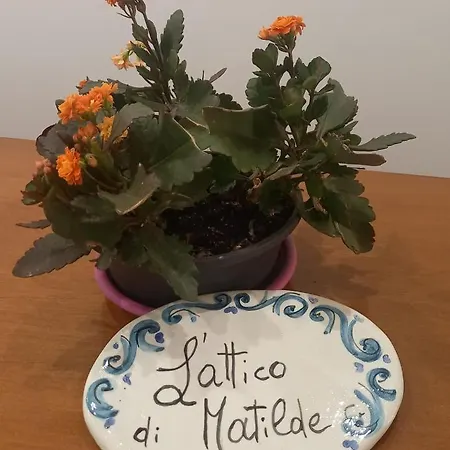 L'Attico di Matilde-2