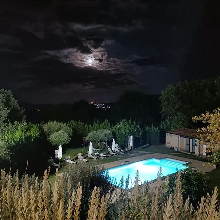 Il Tanaceto-3