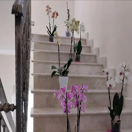 Daphnae House-2