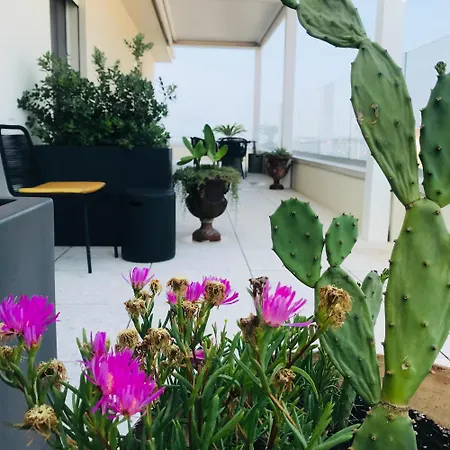 La Terrazza Sul Porto-2