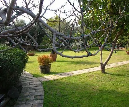 Villa Chiarenza Maison d'Hotes-3