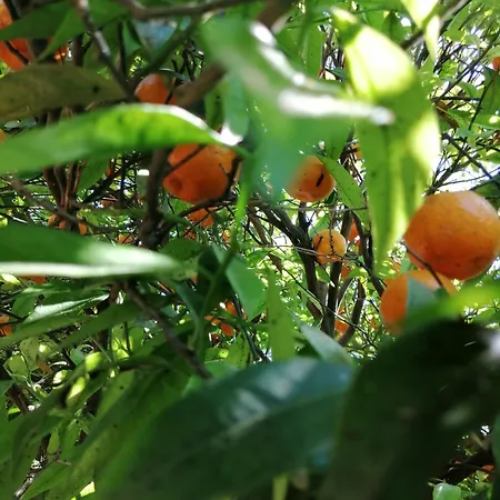 Lumie Di Sicilia-2