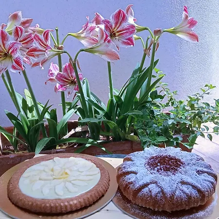B&B Villa Flora-3